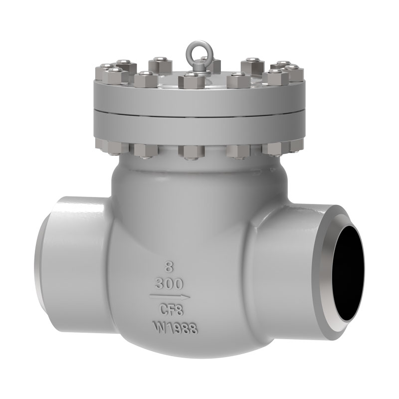 Cryogenic Swing Priksa Valve