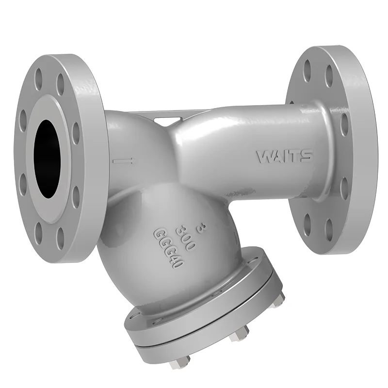 Iron Y-Strainer