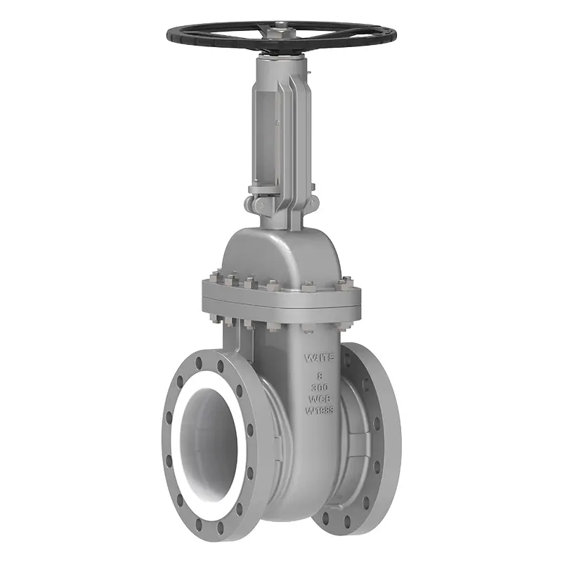 Katup gapura ptfe diantrani