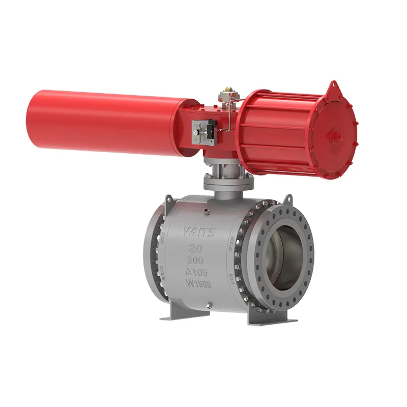 Katup bal trunnion